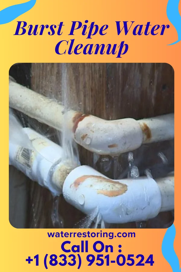 Burst Pipe Water Cleanup in Barker Heights, NC